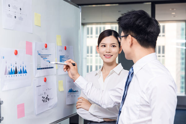 組織咨詢(xún)：協(xié)助企業(yè)制定組織發(fā)展戰(zhàn)略，推動(dòng)組織成長(zhǎng)