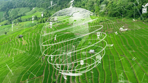 制定年度經(jīng)營(yíng)計(jì)劃:實(shí)現(xiàn)可持續(xù)發(fā)展目標(biāo) 制定年度經(jīng)營(yíng)計(jì)劃:實(shí)現(xiàn)可持續(xù)發(fā)展目標(biāo)