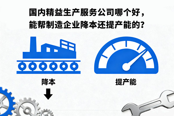 國內(nèi)精益生產(chǎn)服務(wù)公司哪個好，能幫制造企業(yè)降本還提產(chǎn)能的？