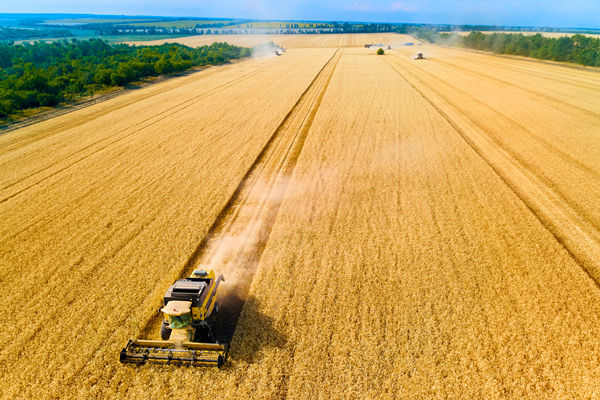 農(nóng)業(yè)行業(yè)供應(yīng)鏈管理咨詢公司推薦，能解農(nóng)資采購成本高問題嗎？