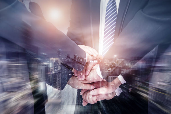 優(yōu)質的企業(yè)文化建設咨詢選哪家，能凝聚核心團隊向心力嗎？